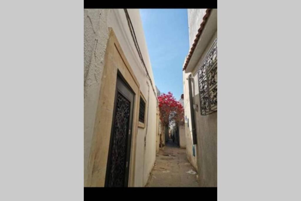 Dar El Halfaouine Apartment Tunis Exterior photo